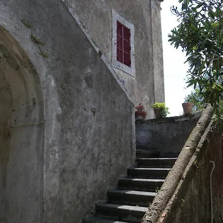 Franca